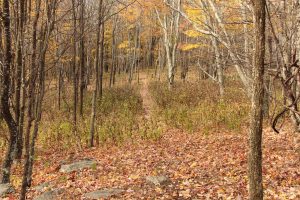 Claude Moore Park cerca de Sterling, VA - BMW de Sterling