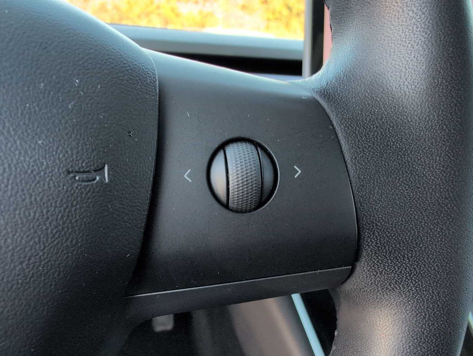 Tesla Model 3 Standard Range Plus 2019