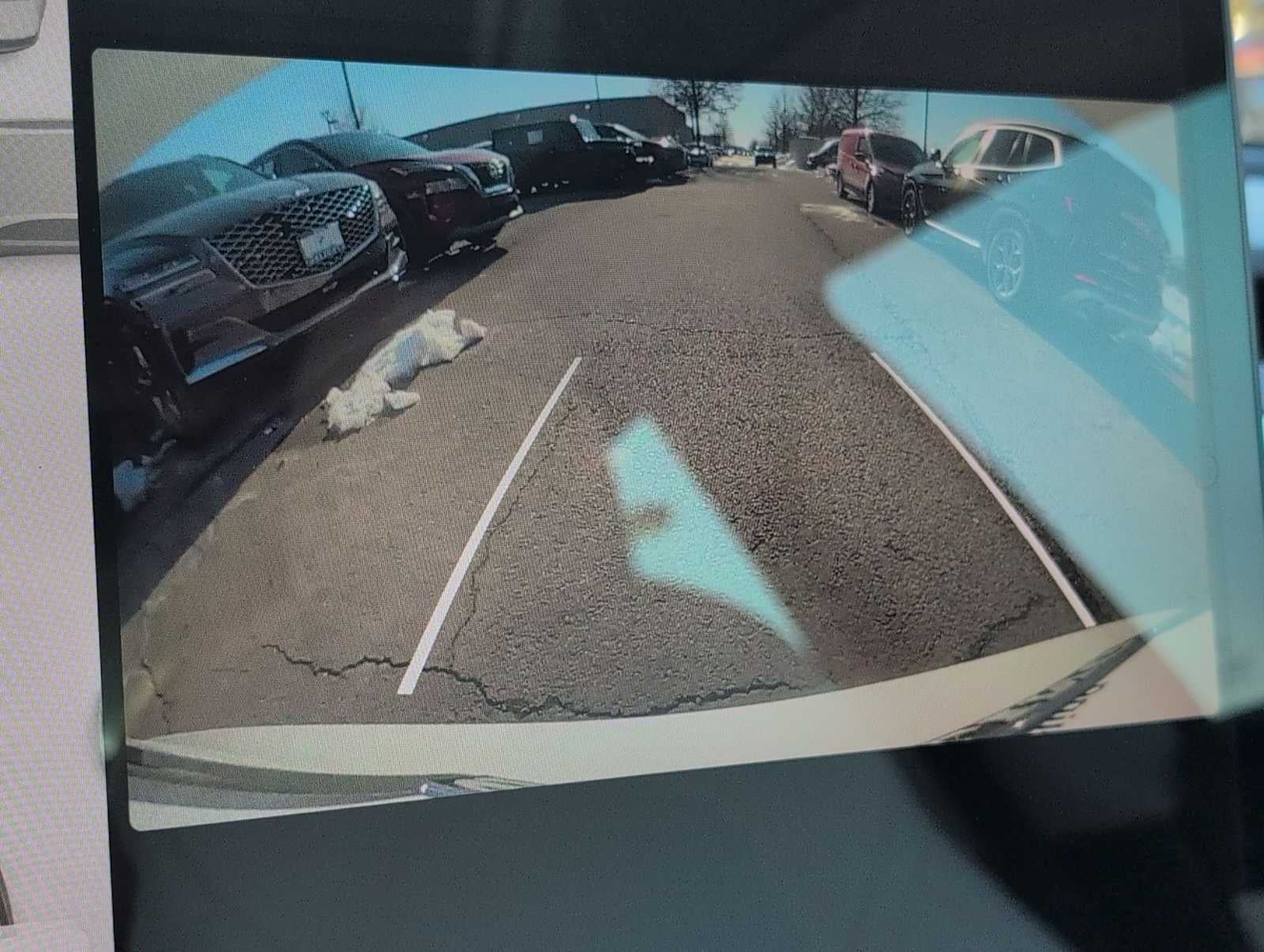 Tesla Model 3 Standard Range Plus 2019