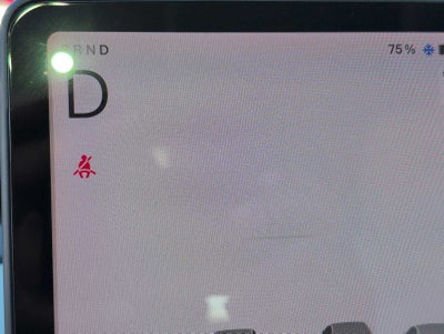 Tesla Model 3 Standard Range Plus 2019