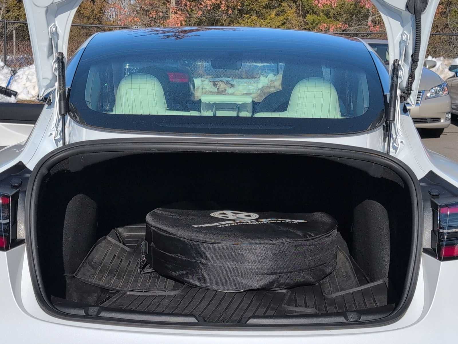 Tesla Model 3 Standard Range Plus 2019