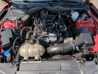 Ford Mustang EcoBoost 2021