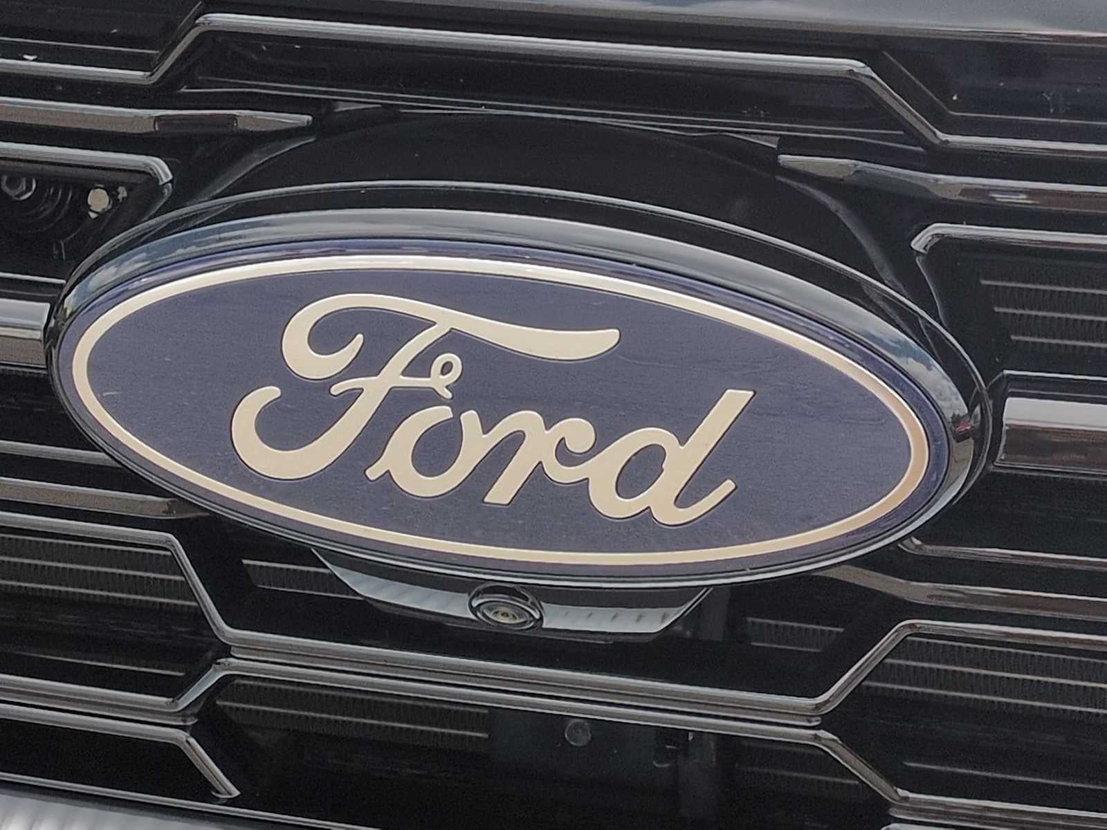 Ford Expedition Platinum 2025