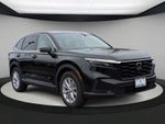 Honda CR-V EX-L 2024
