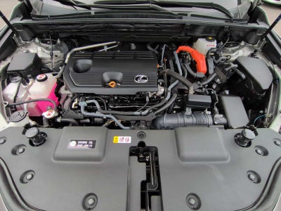 Lexus NX 350h Premium 2024