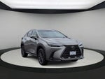 Lexus NX 350h Premium 2024