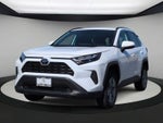 Toyota RAV4 XLE 2025