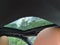 2026 BMW Serie 3 330i NA xDrive