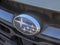 Subaru Outback Limited XT 2024