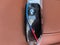 BMW X7 M60i 2027