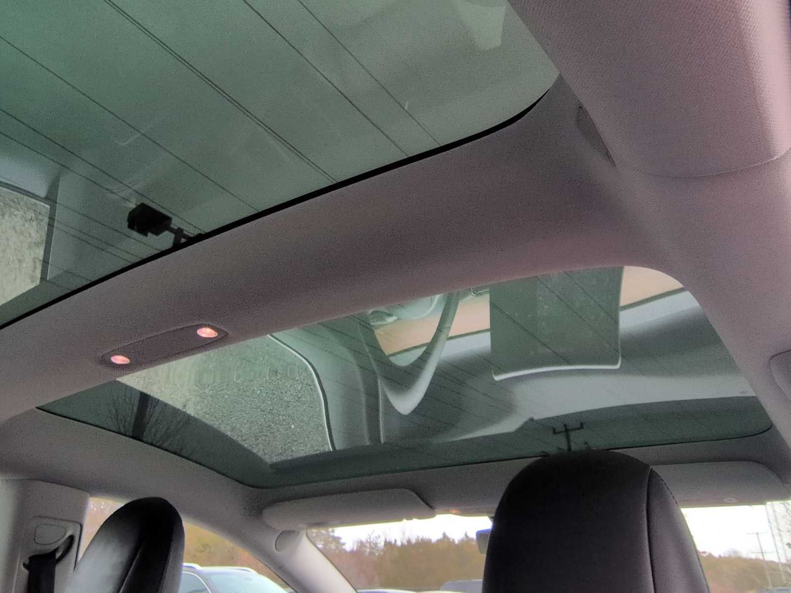 Tesla Model 3 Standard Range Plus 2019