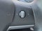 Tesla Model 3 Standard Range Plus 2021