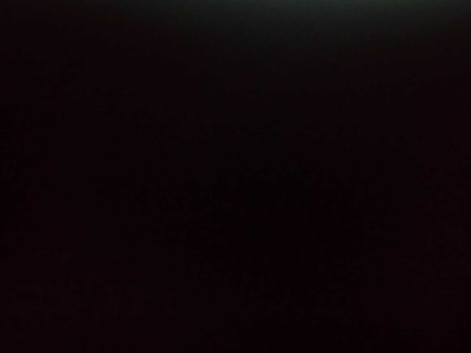 Tesla Model Y Performance 2022