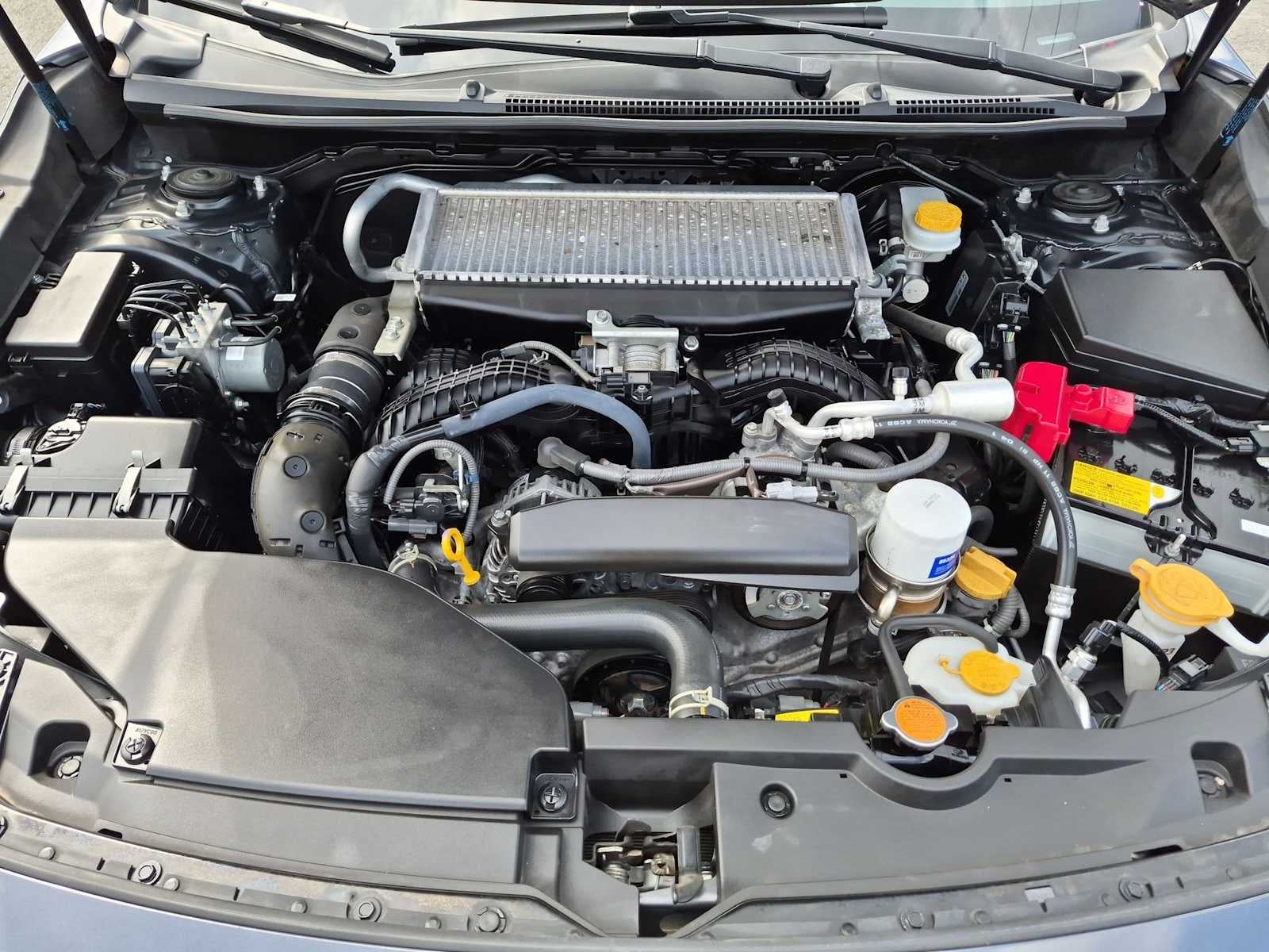 Subaru WRX Premium 2022
