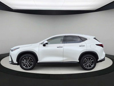 Lexus NX 350h Premium 2024