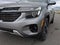 Kia Seltos EX 2024
