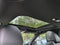 2026 BMW Serie 3 330i xDrive