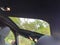 2025 BMW i4 xDrive40