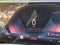 2025 BMW i4 xDrive40