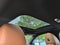 2026 BMW i4 M60