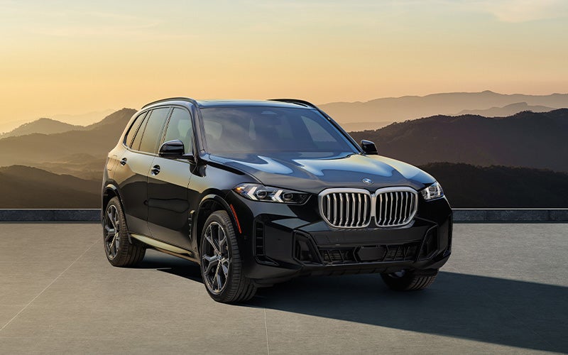Un BMW X5 aparcado junto a un paisaje montañoso.