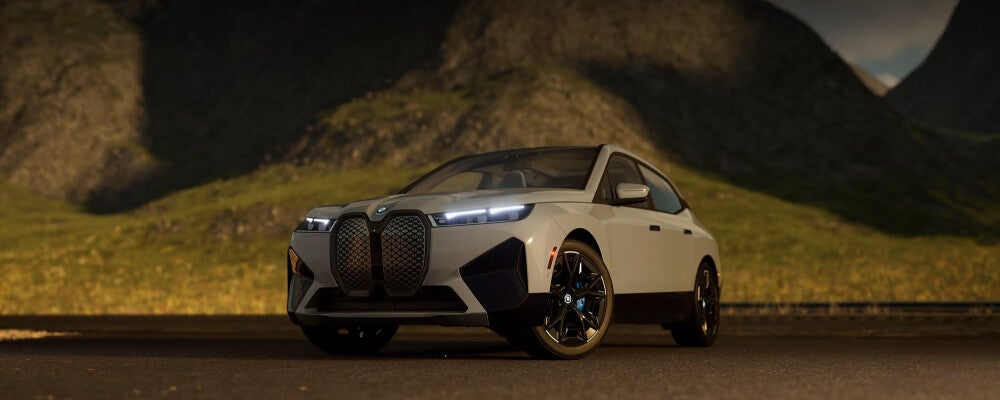 2025 BMW iX